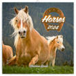 Horses/Lovak
