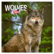 Wolves/farkasok