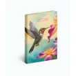 kolibri
