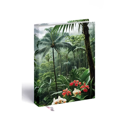 orchidea